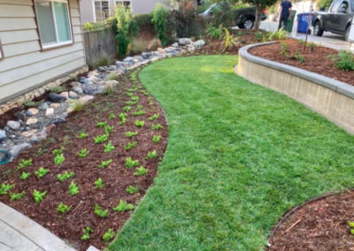 this image shows turf installation in San Clemente, California